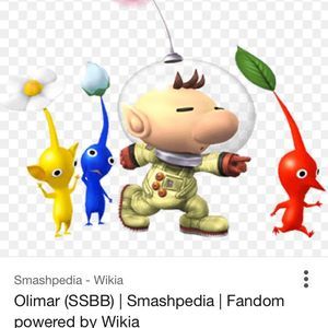 Meet your Posher, Brady